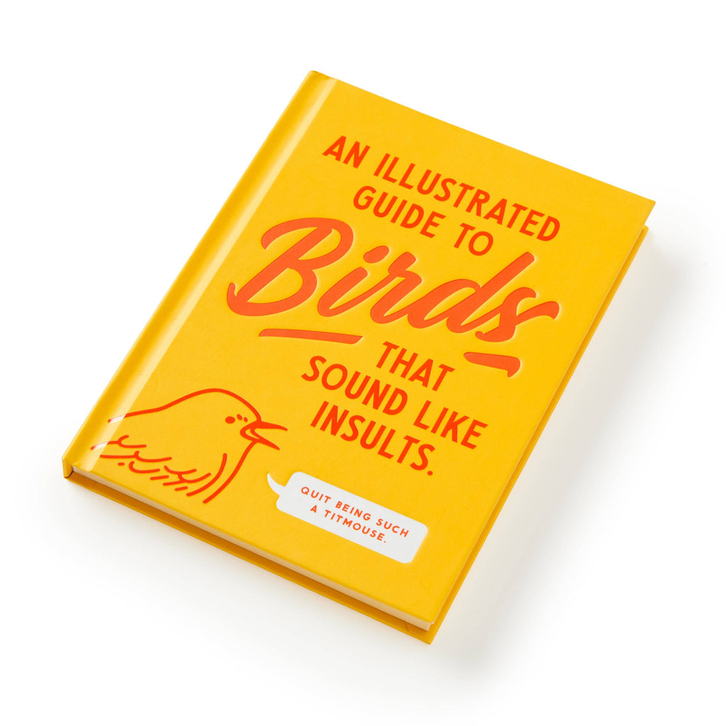 Chronicle Books - Brass Monkey Illustrated Guide to Birds