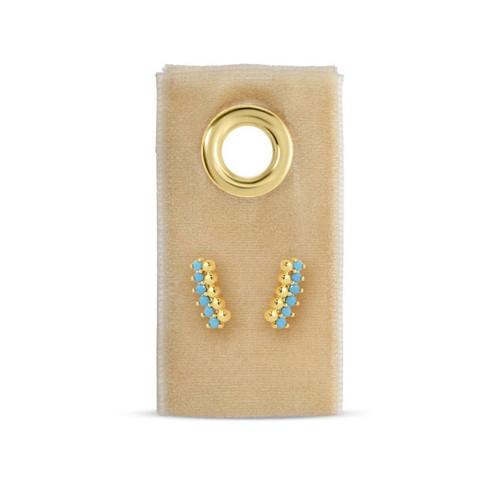Splendid Iris - Delicate Dots & CZ Studs On Velvet Tag