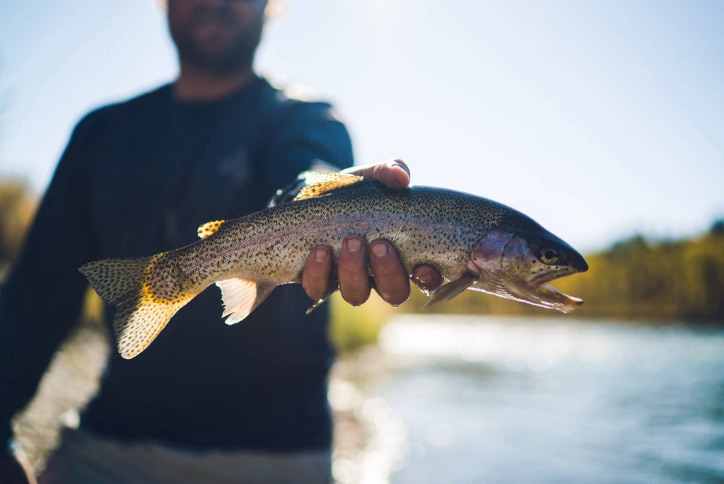 Postfly - Trout Fly Fishing Kit