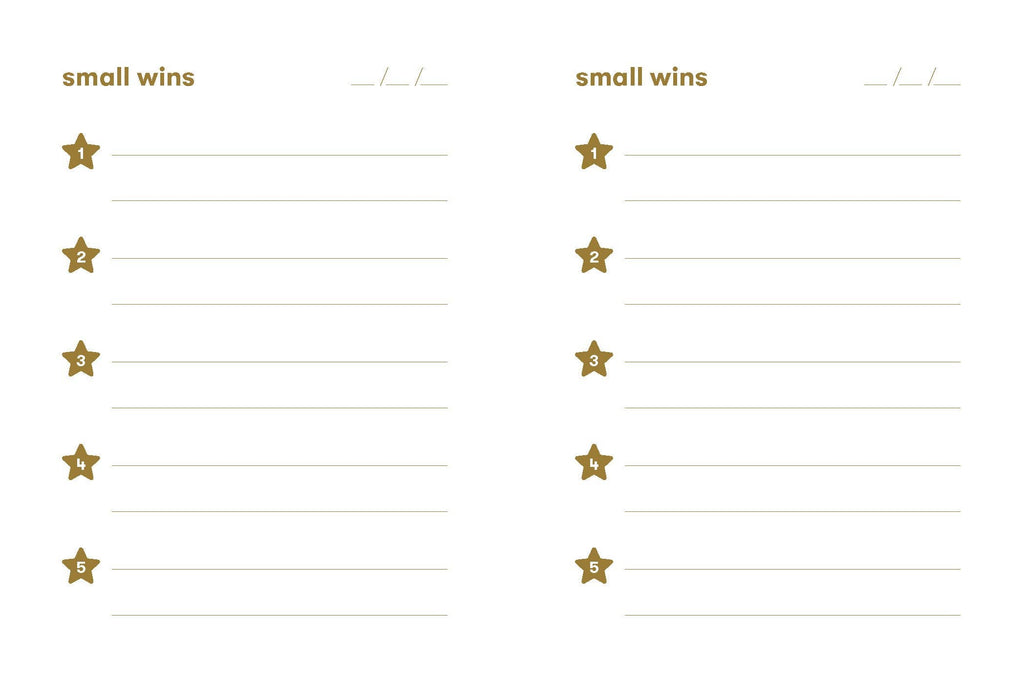 Chronicle Books - Small Wins