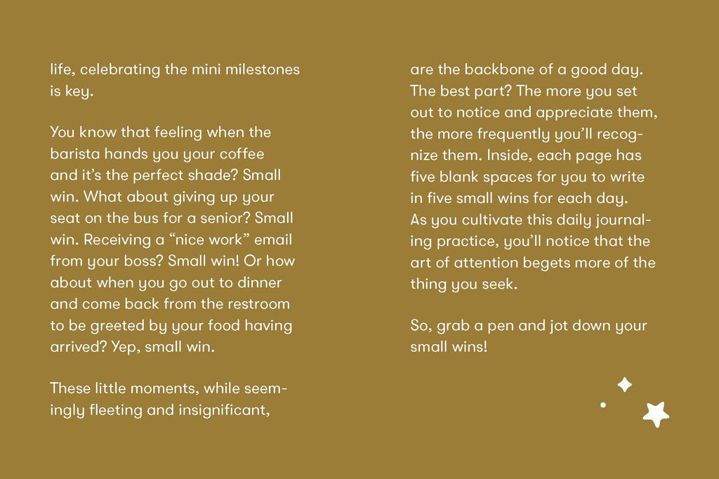 Chronicle Books - Small Wins