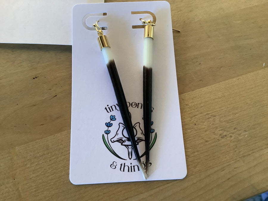 African porcupine quills gold tiny bones 6/16/26