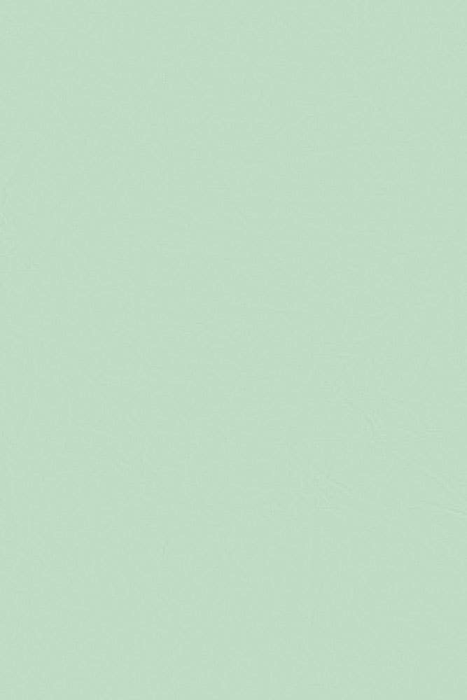 Paper Source Wholesale - Solid Tissue Paper