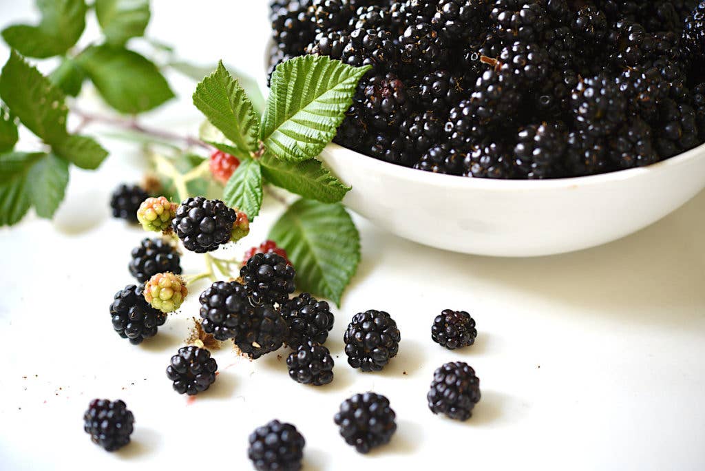 Raven & Rose Apothecary - Blackberry Stinger ~ Cocktail Infusion Kits with a Twist