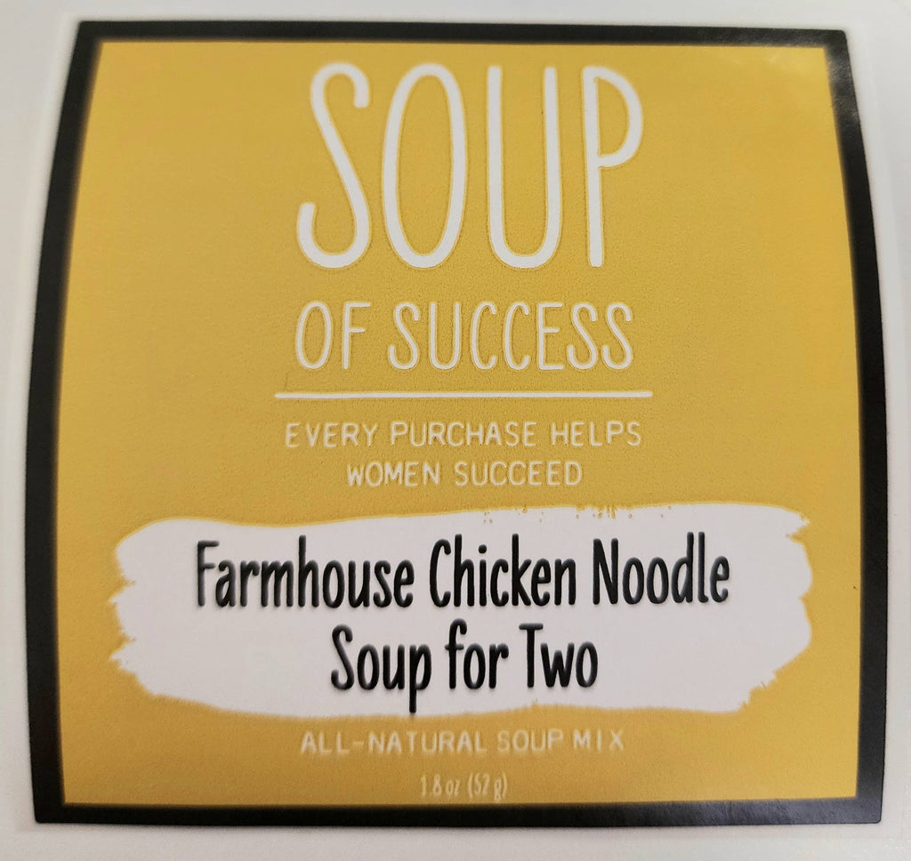 Soup Of Success - Farmhouse Chicken Noodle Soup for Two