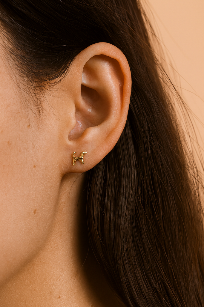Peter and June - Fortune Dog Studs - 18K Gold Plated