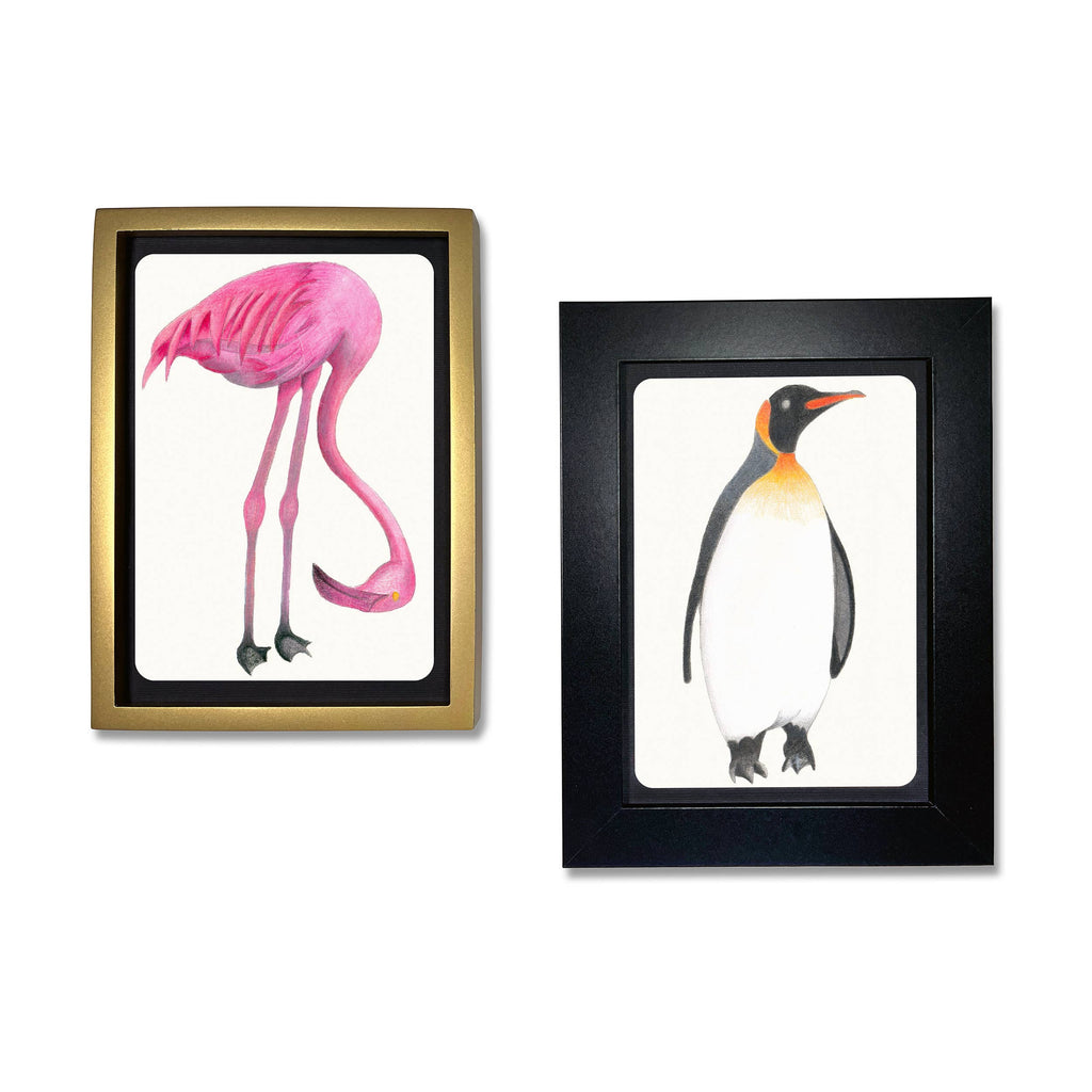 elseware unplug - Coloring Postcards w/ 6 Bird Designs (30cards) Stationary