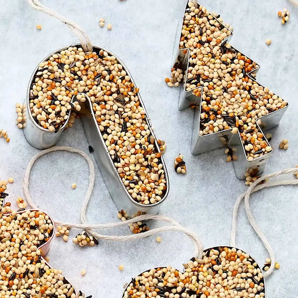 Mr. Sogs - DIY Birdseed Garden Ornament Kit