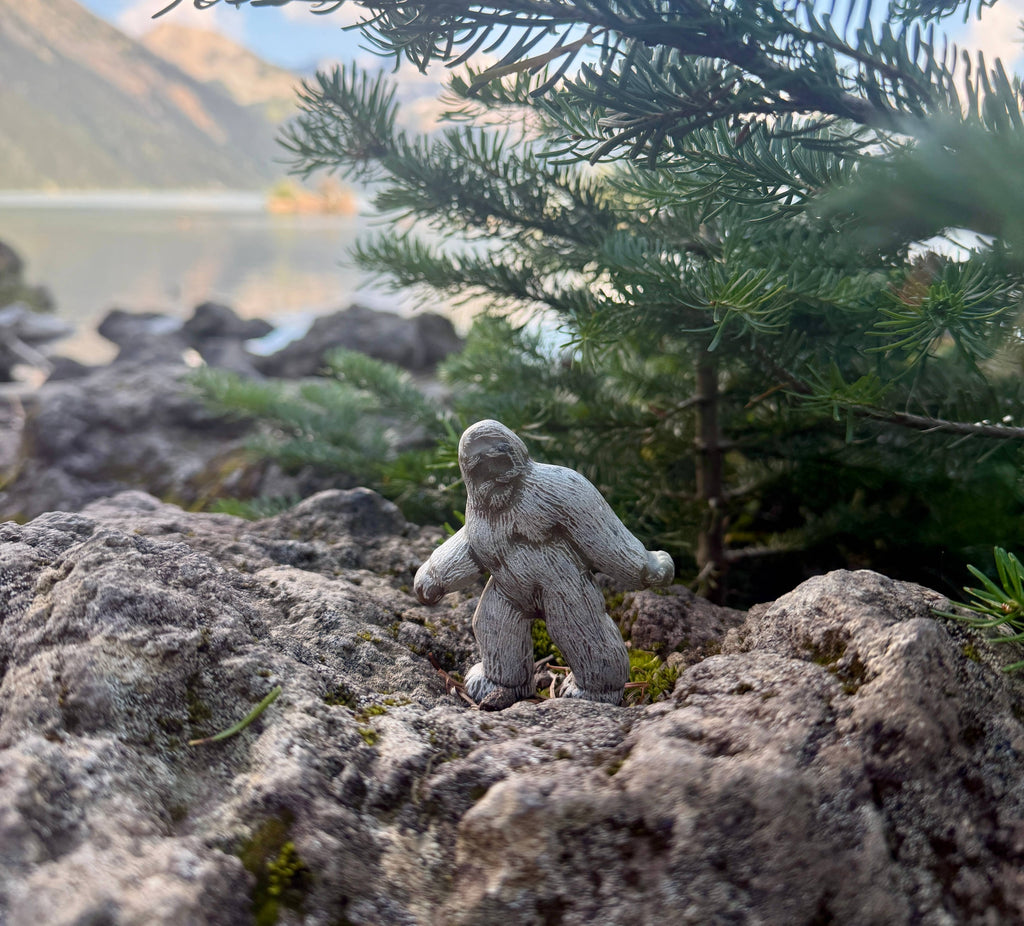 Studiostone Creative - Bigfoot Soapstone Carving Kit – NEW!!