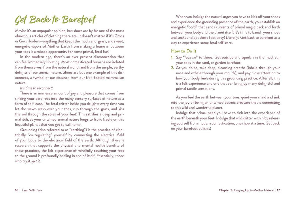 Simon & Schuster - Feral Self-Care by Mandi Em