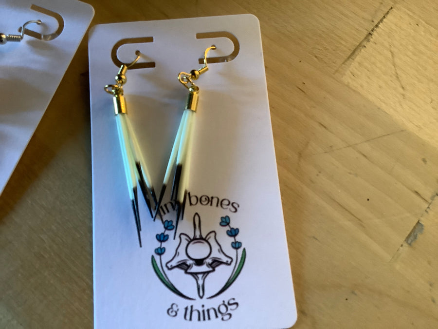 Porcupine quills minimalist tiny bones 6/16/26