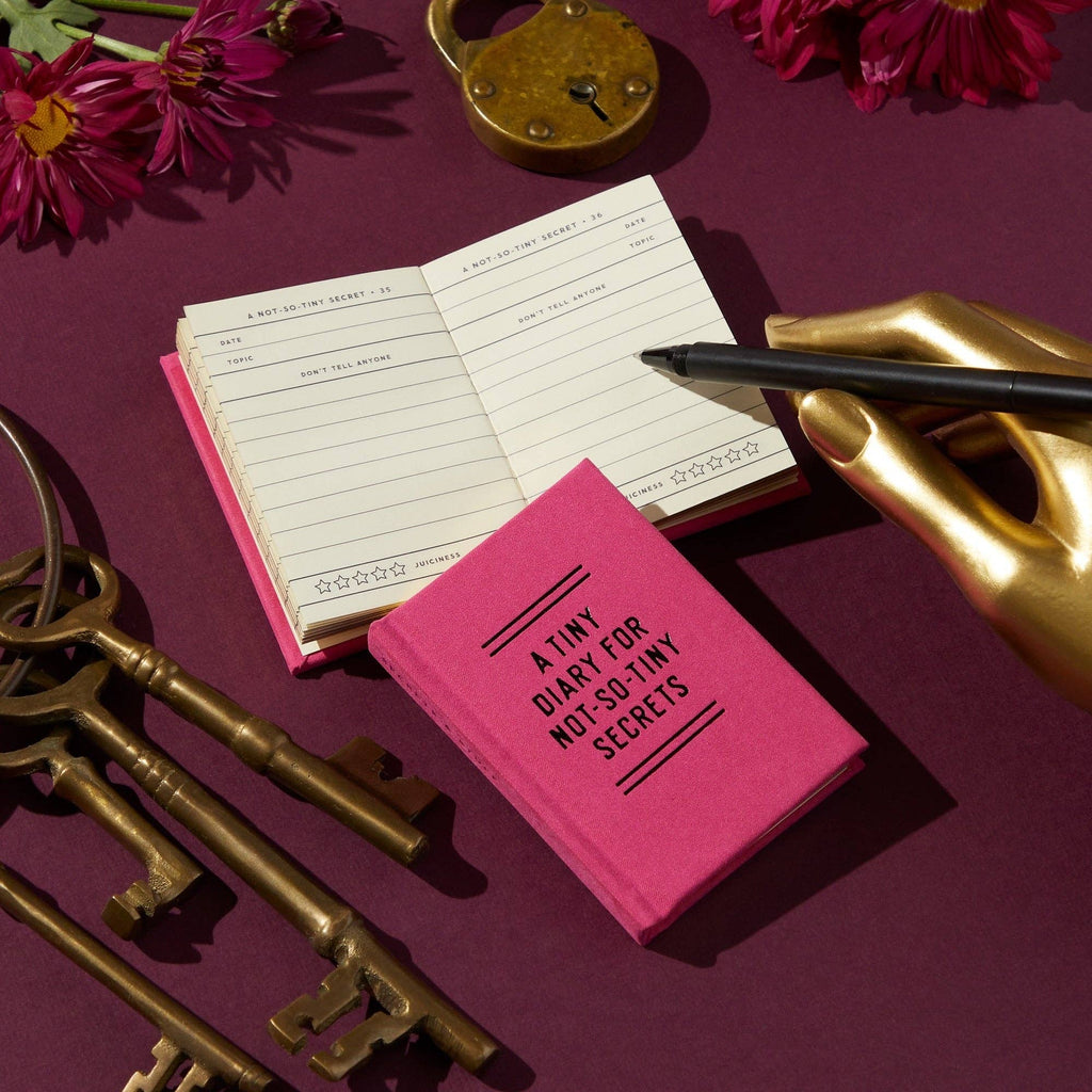 Chronicle Books - Brass Monkey Tiny Diary for Not So Tiny Secrets