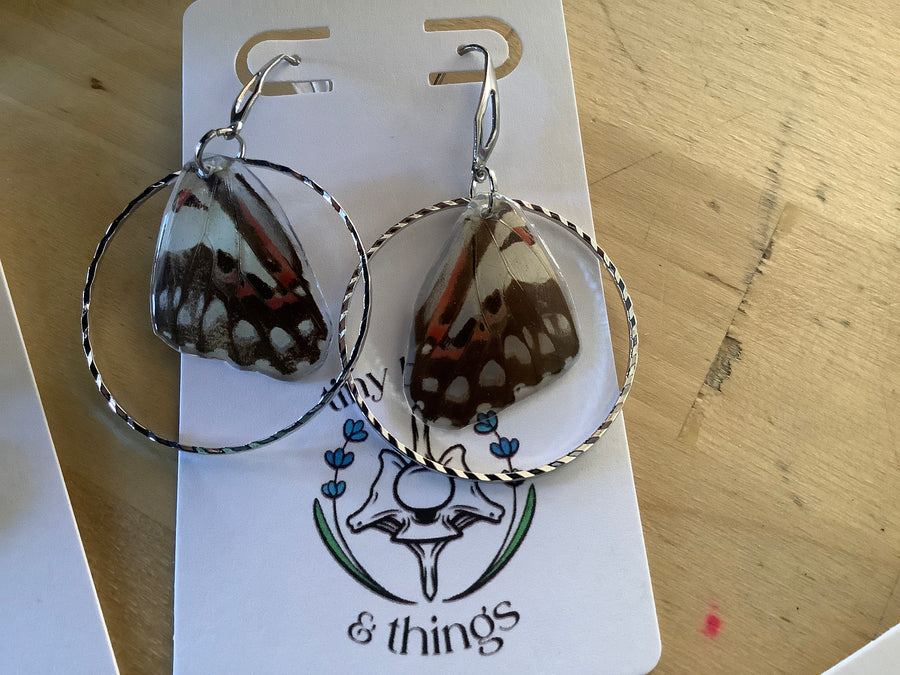 Blanchard ghot butterfly wings tiny bones 6/16/26