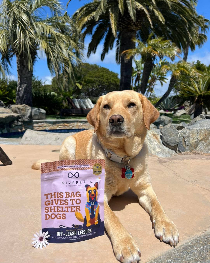 GivePet - GivePet Off-Leash Leisure Soft and Chewy Training Dog Treat