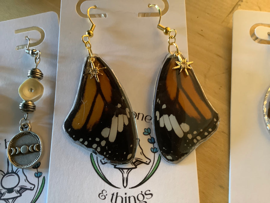 Monarch butterfly wings tiny bones 6/16/26