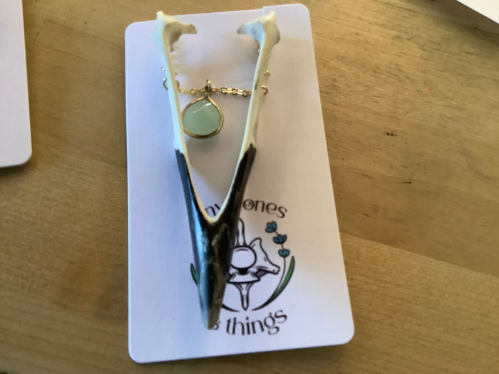 European crow beak and gem tiny bones 6/16/26