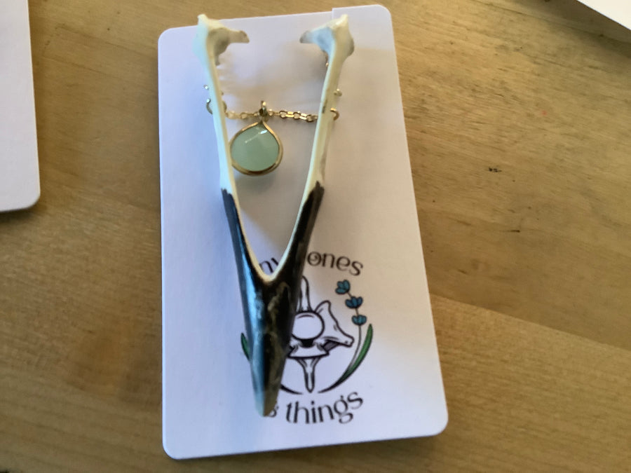 European crow beak and gem tiny bones 6/16/26