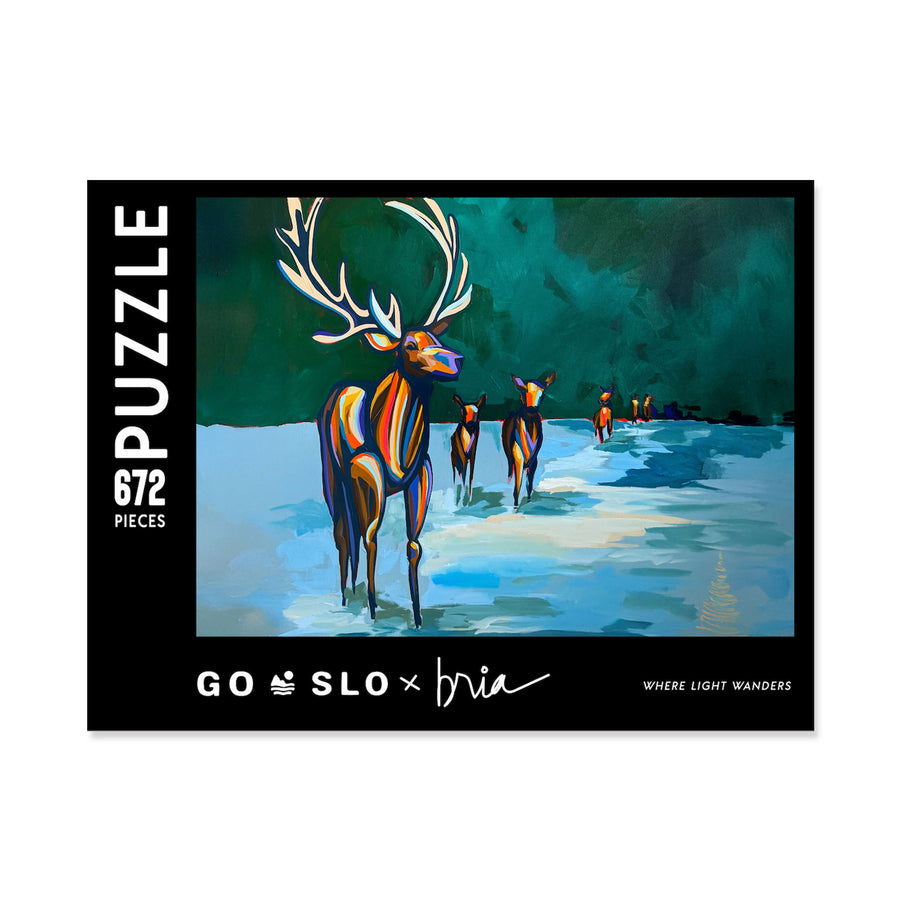 Where Light Wanders Puzzle // 672 Pieces