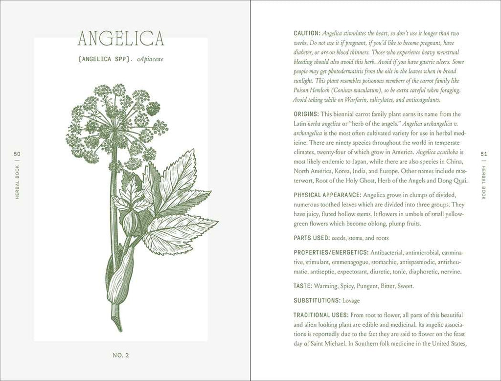 Simon & Schuster - Complete Folk Herbal by Rebecca Beyer