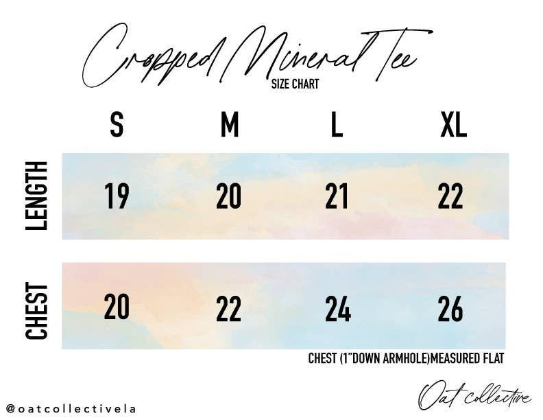 OAT COLLECTIVE - RAISED ON Cropped Mineral Graphic Top