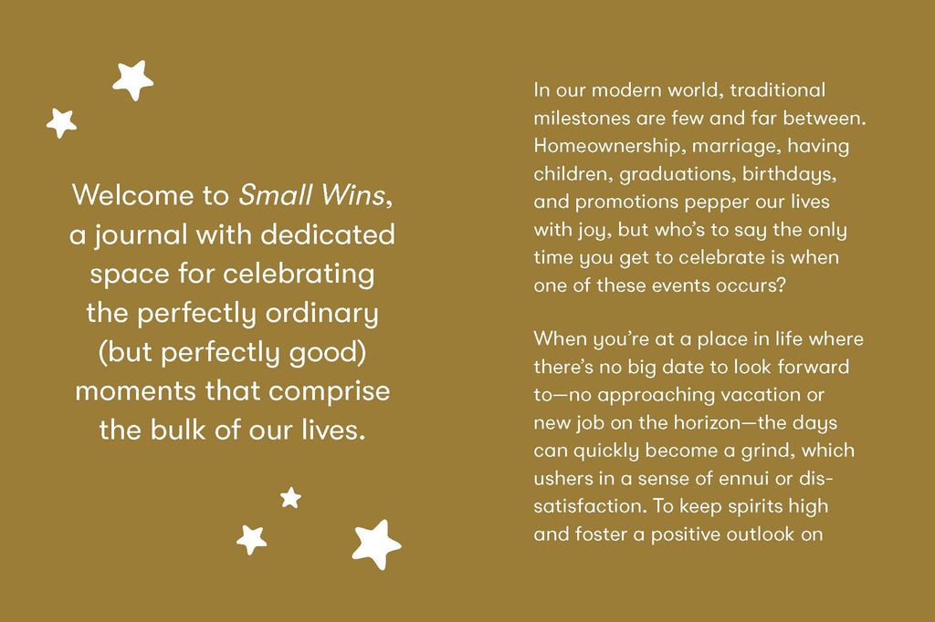 Chronicle Books - Small Wins