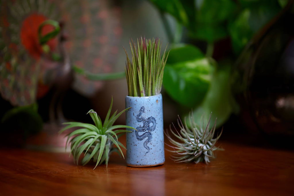 Mud & Maker - Tiny Tumblers - Horse