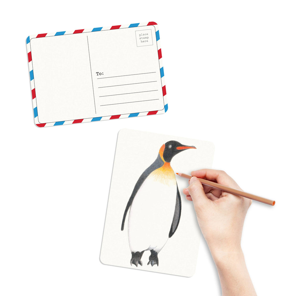 elseware unplug - Coloring Postcards w/ 6 Bird Designs (30cards) Stationary