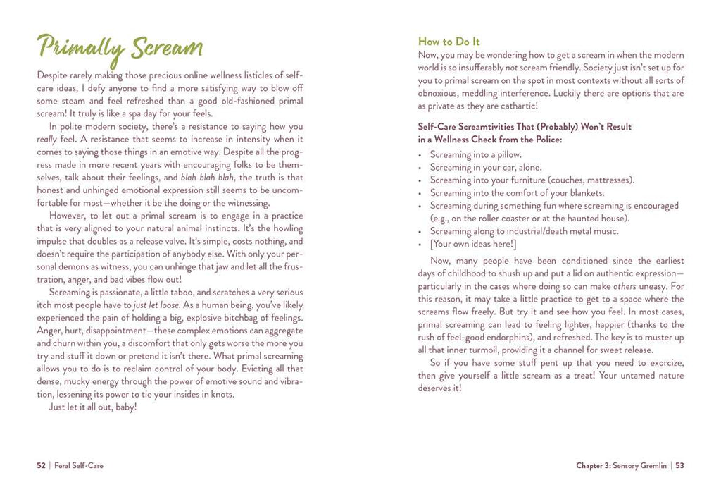 Simon & Schuster - Feral Self-Care by Mandi Em