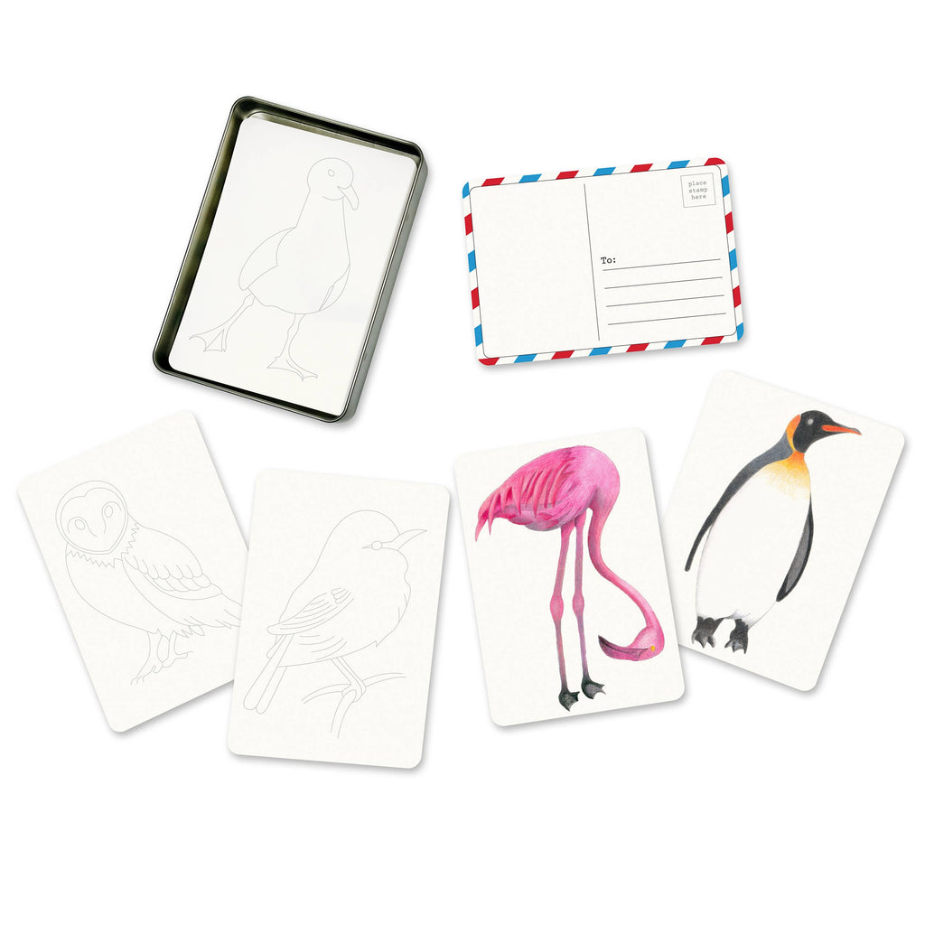 elseware unplug - Coloring Postcards w/ 6 Bird Designs (30cards) Stationary