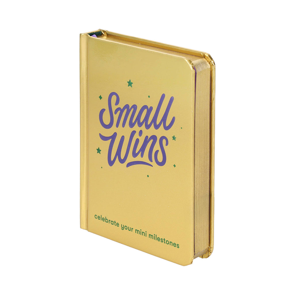 Chronicle Books - Small Wins