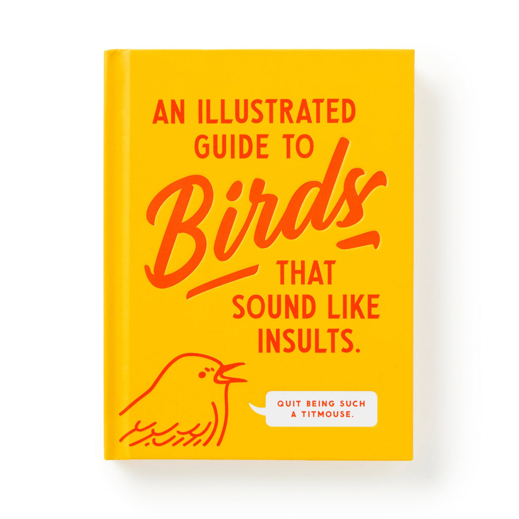 Chronicle Books - Brass Monkey Illustrated Guide to Birds