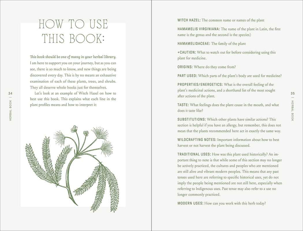 Simon & Schuster - Complete Folk Herbal by Rebecca Beyer