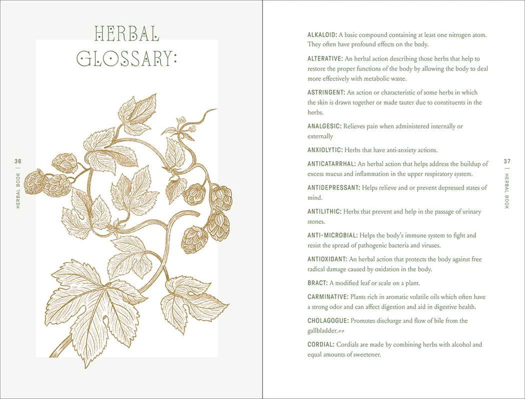 Simon & Schuster - Complete Folk Herbal by Rebecca Beyer