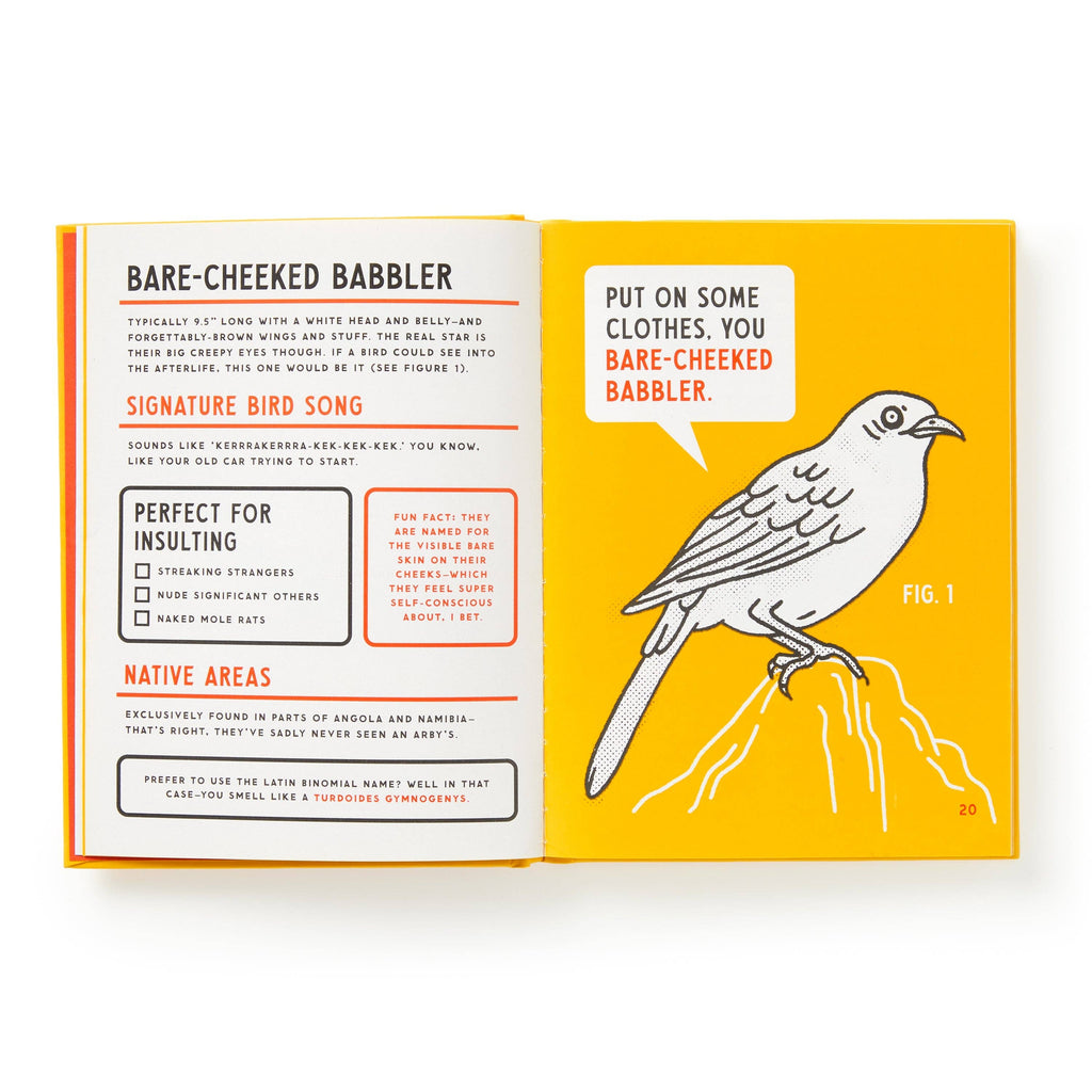 Chronicle Books - Brass Monkey Illustrated Guide to Birds