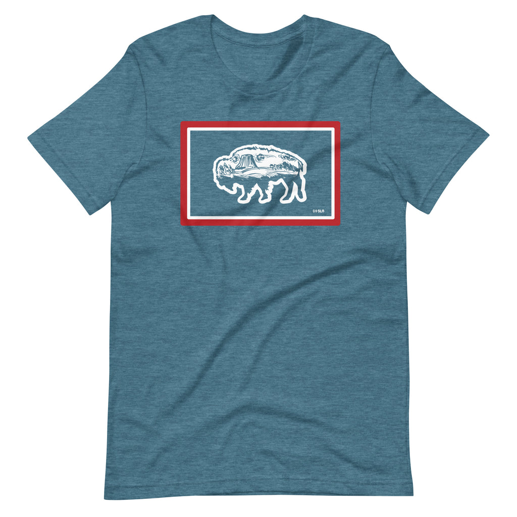 Guys Go Slo Wyo Flag Tee
