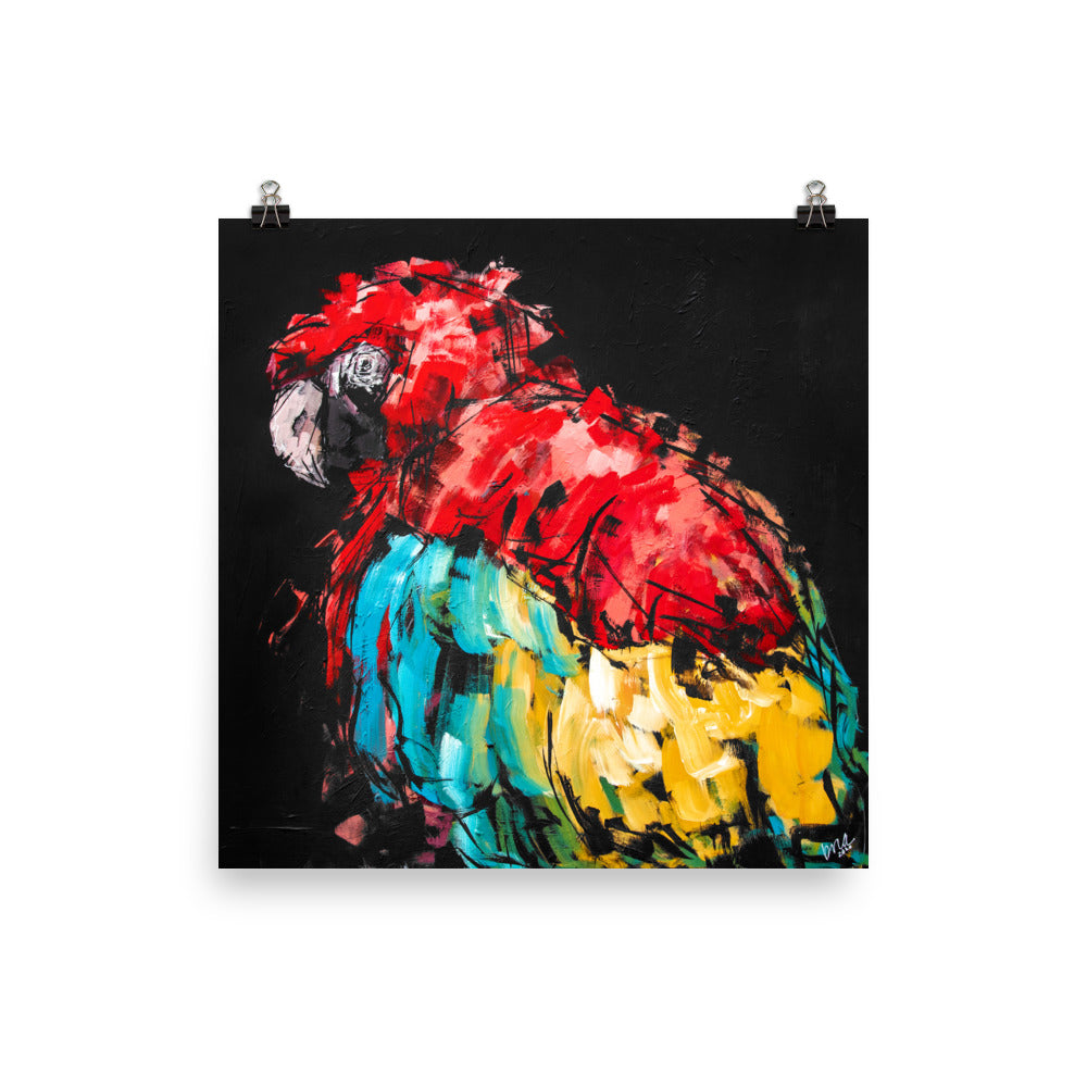 Rico the Macaw Print