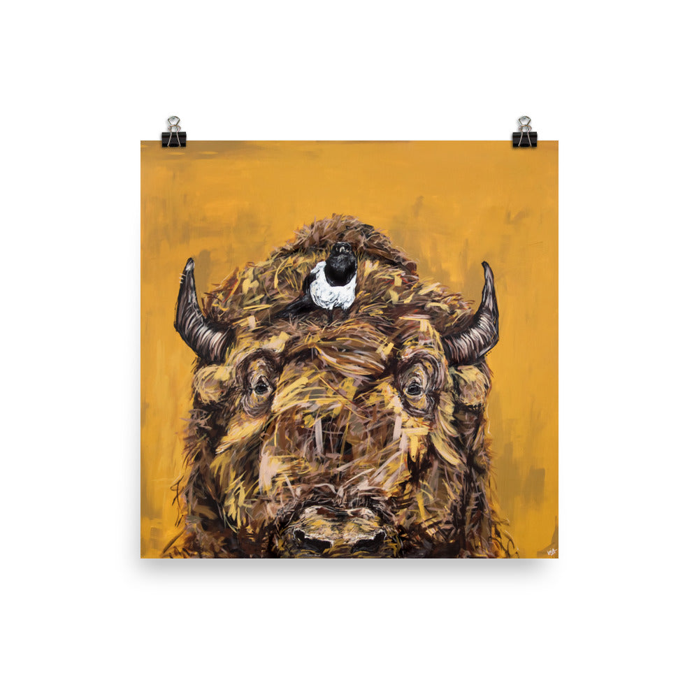 Bison + Magpie Print